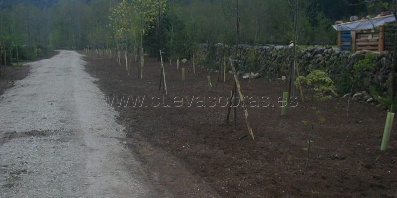 Ejecución de senda peatonal en Saja