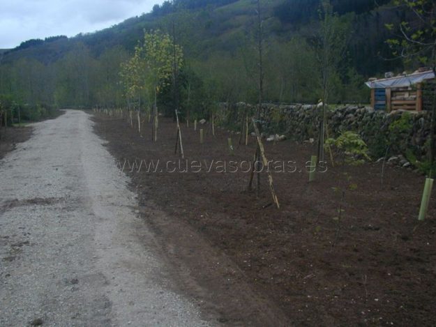 Ejecución de senda peatonal en Saja