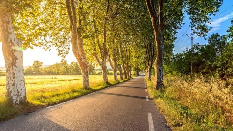 Acondicionamiento De Viales Y Carreteras En Cantabria (1) cantabria